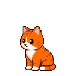 橘猫睡觉动画